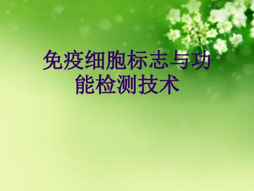 免疫细胞标志与功能检测技术优秀课件