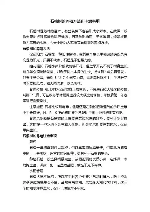 石榴树的养殖方法和注意事项
