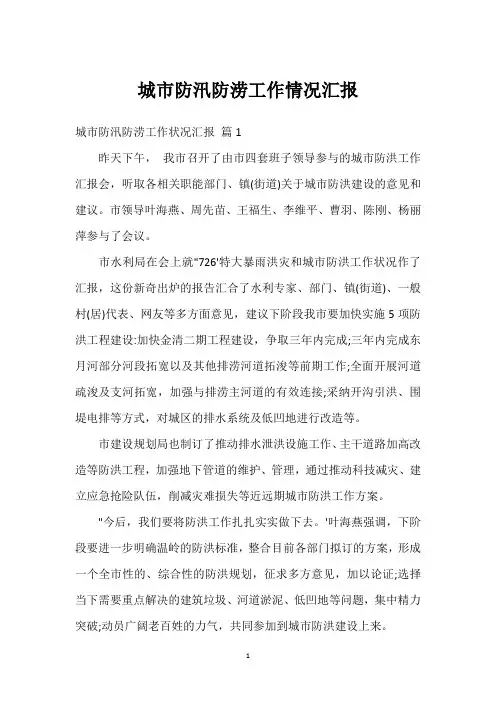 城市防汛防涝工作情况汇报