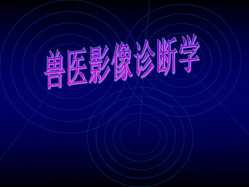 兽医影像学 胸部的影像检查