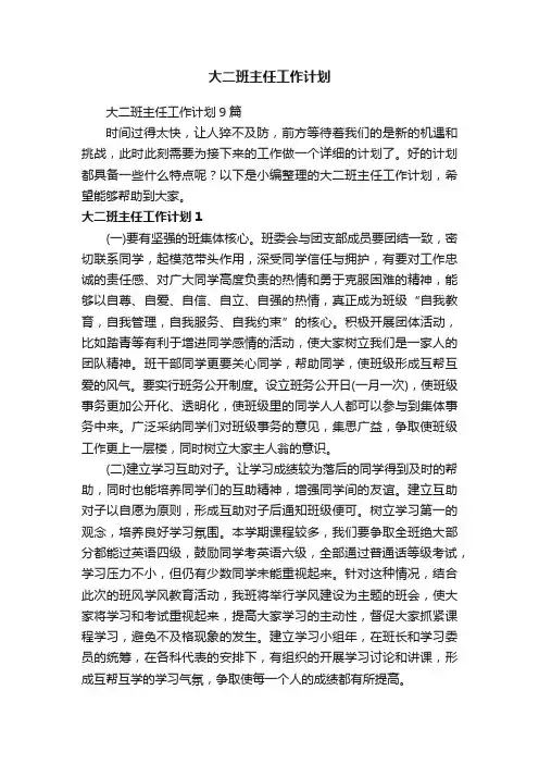 大二班主任工作计划