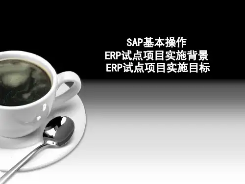 互联网SA基本操作,ERP试点项目实施背景与目标版可编辑