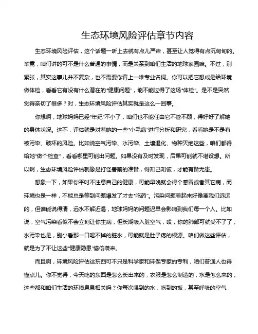 生态环境风险评估章节内容