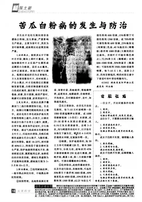苦瓜白粉病的发生与防治