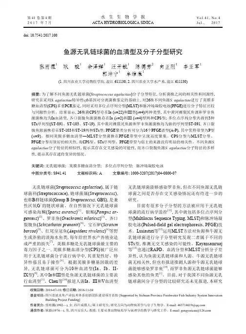 鱼源无乳链球菌的血清型及分子分型研究