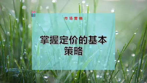 掌握定价的基本策略-PPT模板