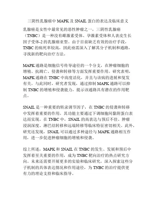 三阴性乳腺癌中MAPK及SNAIL蛋白的表达及临床意义