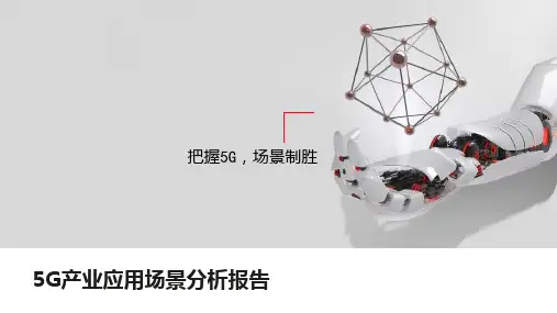 5G产业应用场景分析报告