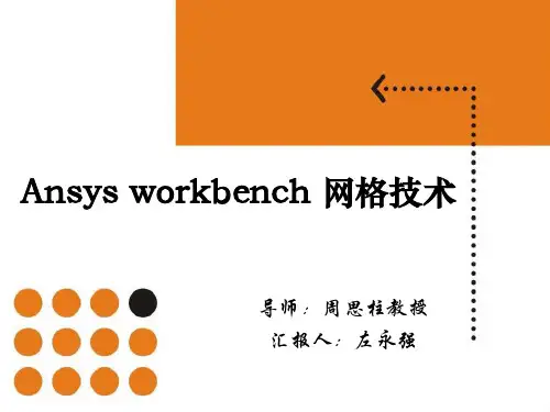 Ansysworkbench网格技术讲解