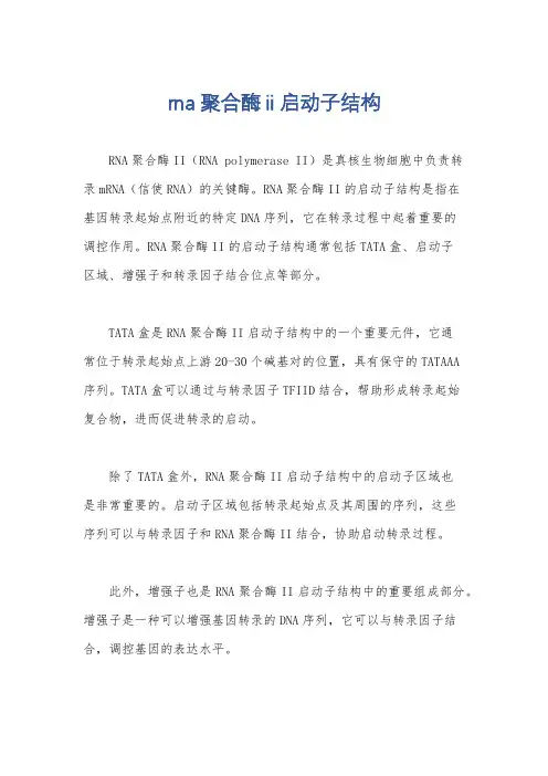 rna 聚合酶ii启动子结构