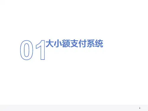 大小额支付系统简介
