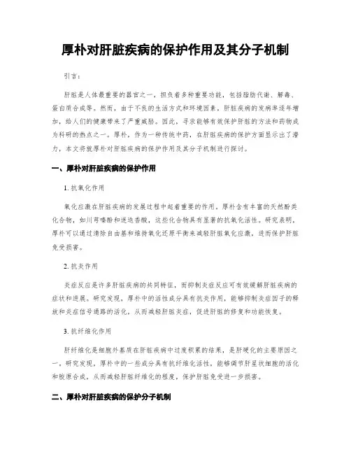 厚朴对肝脏疾病的保护作用及其分子机制