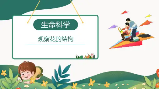 小学科学实验之生命科学：观察花的结构