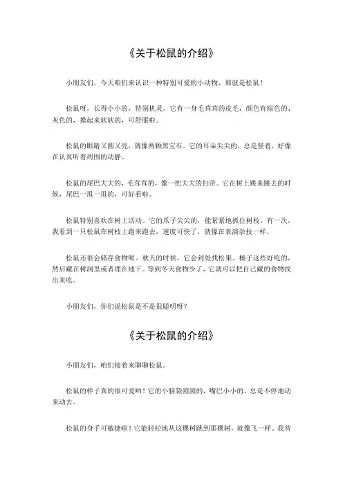 关于松鼠的介绍20字
