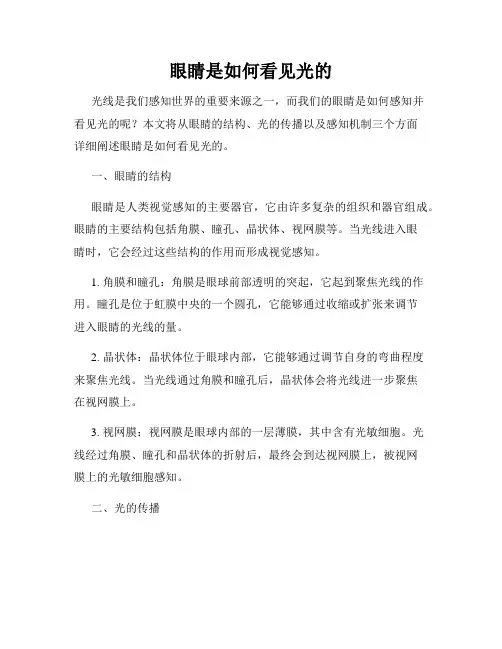 眼睛是如何看见光的