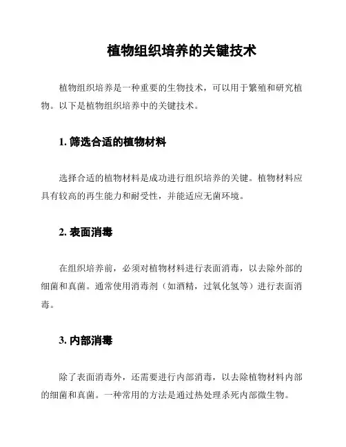 植物组织培养的关键技术