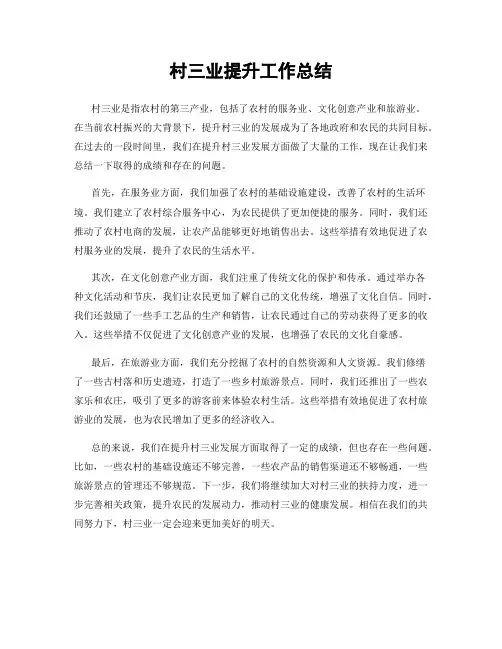 村三业提升工作总结