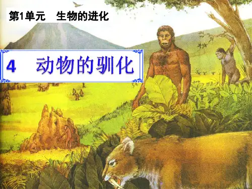 六年级下册科学课件1.4 动物的驯化 ｜ 湘教版(三起) (共18张PPT)