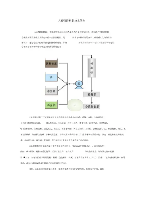 大孔吸附树脂技术简介