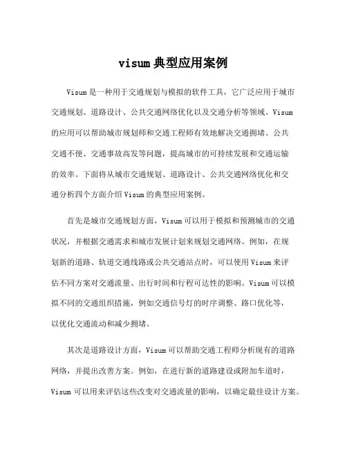 visum典型应用案例