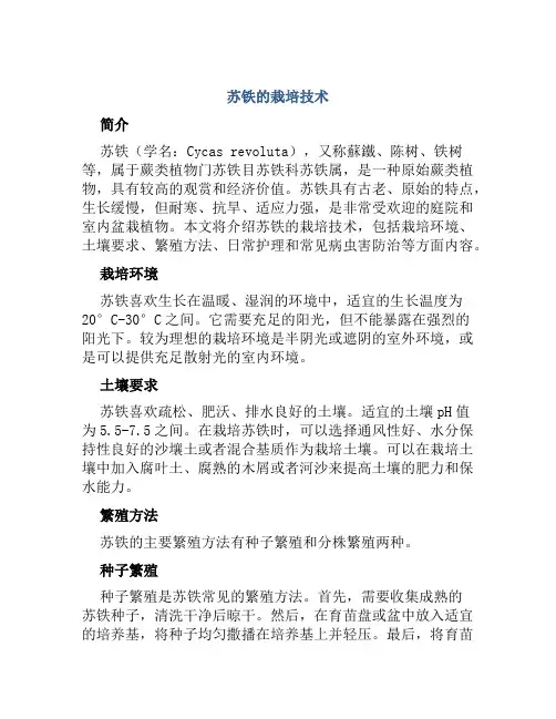 苏铁的栽培技术