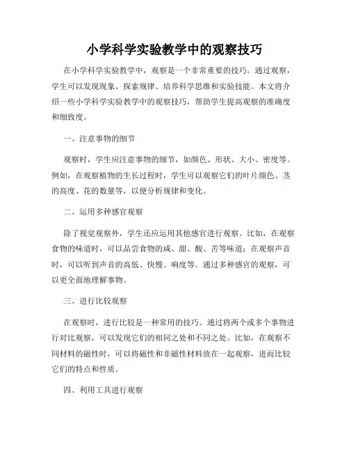 小学科学实验教学中的观察技巧