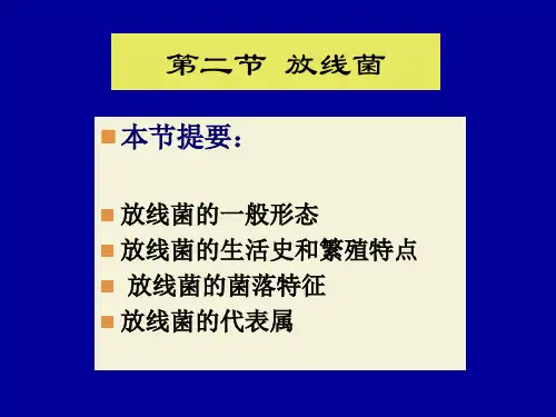 1.2放线菌蓝细菌及其他