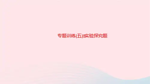 化学九年级下册第十二单元化学与生活专题训练5实验探究题课件 新人教版