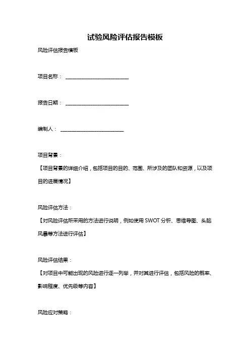 试验风险评估报告模板
