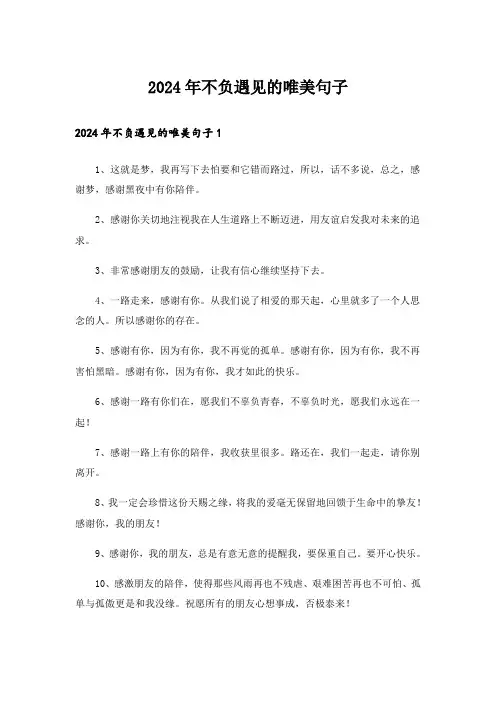 2024年不负遇见的唯美句子