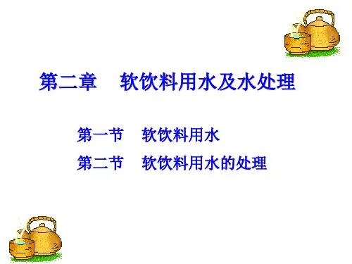 02软饮料用水