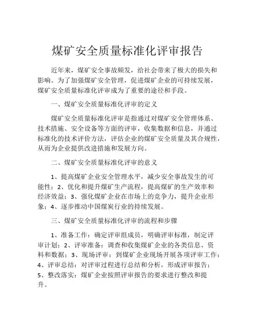 煤矿安全质量标准化评审报告