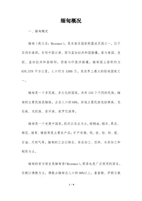 缅甸的概况