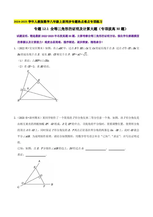 专题12.1 全等三角形的证明及计算大题(专项拔高卷)学生版-2024-2025学年八年级数学上册真