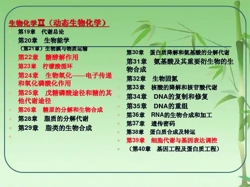 第19章 代谢总论-生物化学(共23张PPT)