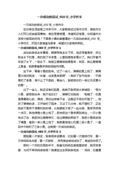一次成功的尝试_450字_小学作文