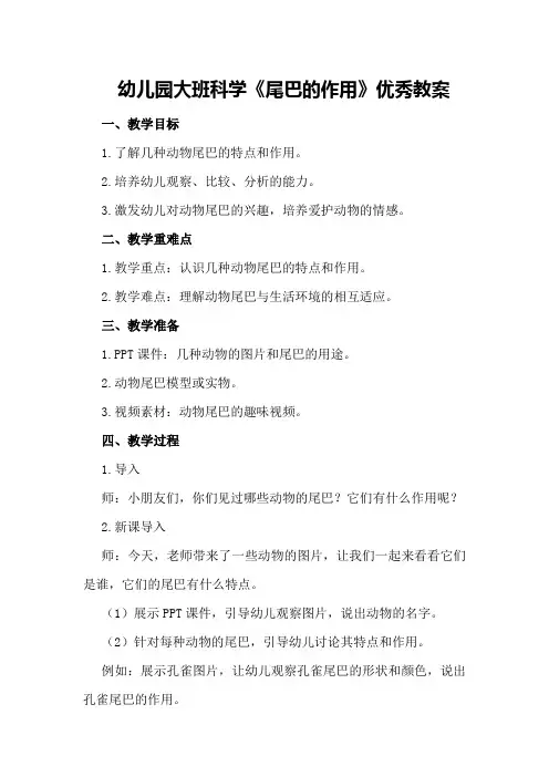 幼儿园大班科学《尾巴的作用》优秀教案