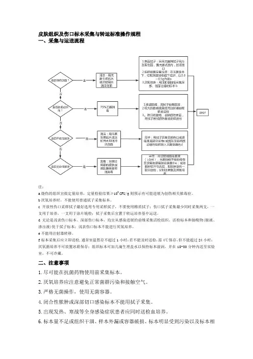 皮肤组织及伤口标本采集与转运