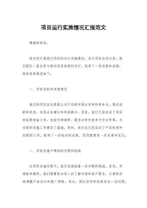 项目运行实施情况汇报范文