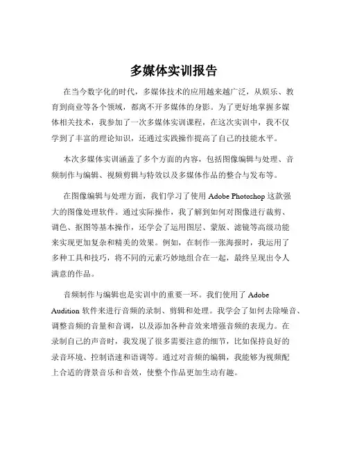多媒体实训报告