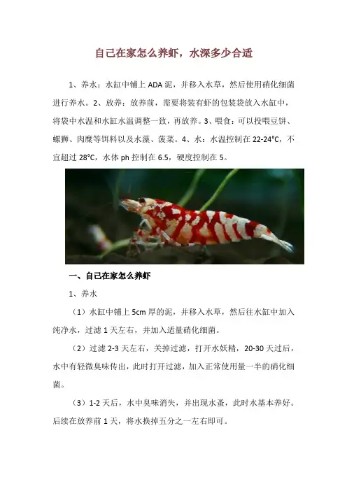 自己在家怎么养虾,水深多少合适