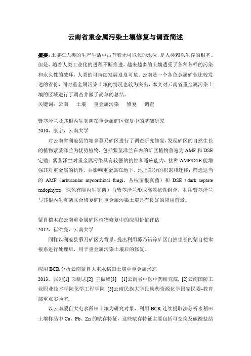 云南省重金属污染土壤修复与调查简述