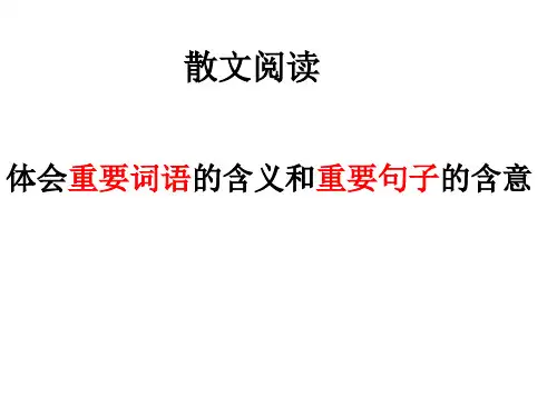 体会重要词语的含义和重要句子的含意