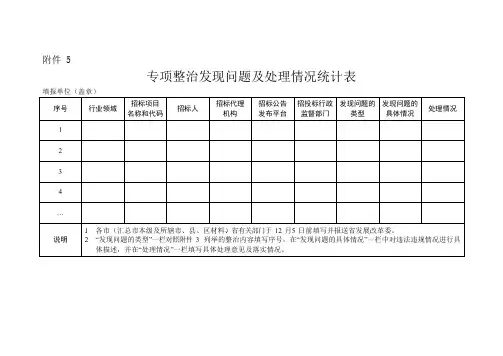 专项整治发现问题及处理情况统计表