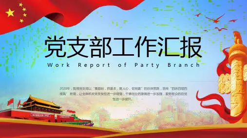 党支部工作汇报ppt模版