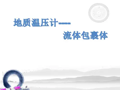 地质温压计-流体包裹体全文