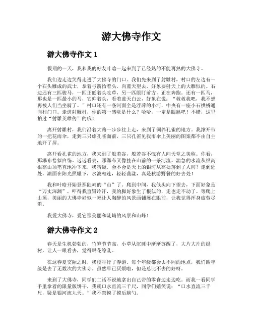 游大佛寺作文