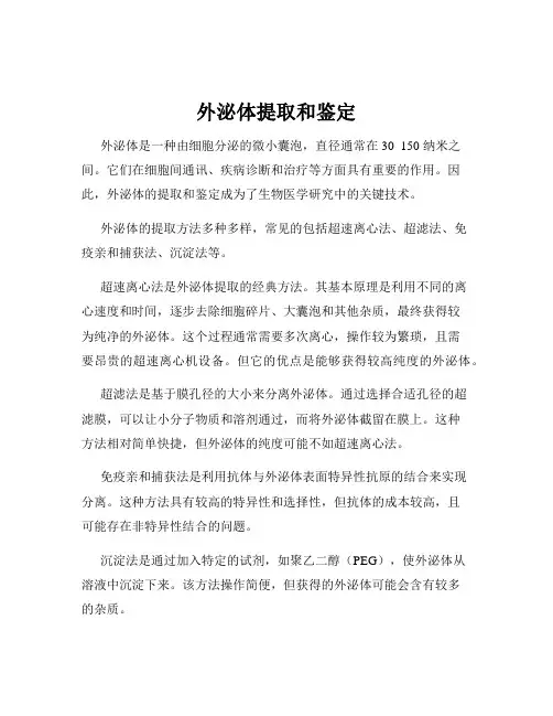外泌体提取和鉴定