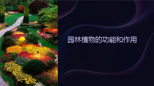 园林植物的功能和作用
