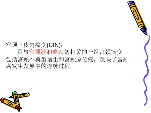 宫颈上皮内瘤变ppt课件